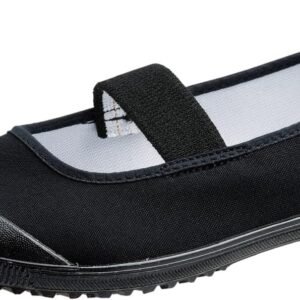 [アサヒ] ユニセックス子供 ハイスクールフロアーVK上履き カラーバレー 日本製