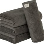 タオル研究所 [ボリュームリッチ] #003 バスタオル チャコールグレー 4枚セット ホテル仕様 厚手 ふかふか ボリューム 高速吸水 耐久性 綿100% 480GSM JapanTechnology