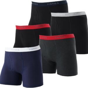 Hanes ボクサーパンツ(5枚組) 抗菌防臭 清潔 防臭効果 前開き 5PボクサーブリーフHM6ES703Jメンズ