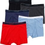Hanes ボクサーパンツ(5枚組) 抗菌防臭 清潔 防臭効果 前開き 5PボクサーブリーフHM6ES703Jメンズ