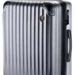 [New Trip] スーツケース キャリーケース 拡張機能付き 機内持ち込み 軽量 大型 S/M/Lサイズ キャリーバッグ 耐衝撃 大容量 ファスナータイプ 静音 ダブルキャスター TSAロック 海外 旅行 ビジネス 出張 (シルバー、Sサイズ/機内持ち込み：2～3泊/40L)