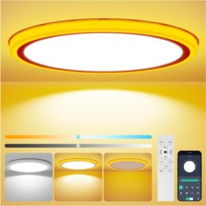 Coizabera LEDシーリングライト10畳 36W 間接光常夜灯付き 昼白色 昼光色 電球色 調光調色 極薄型 おしゃれ 天井照明器具 電気 蛍光灯 Ceiling Light シーリングライト 10畳 寝室/リビング/キッチン適用（No alexa）