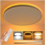 Coizabera LEDシーリングライト 6畳 3600lm 間接光常夜灯 照明器具 天井 6-8畳 電灯 電気 蛍光灯 リモコン付き 極薄型 天井照明 寝室/書斎/キッチンに適用