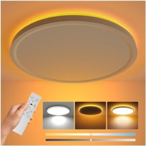 Coizabera LEDシーリングライト 6畳 3600lm 間接光常夜灯 照明器具 天井 6-8畳 電灯 電気 蛍光灯 リモコン付き 極薄型 天井照明 寝室/書斎/キッチンに適用