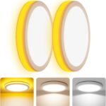 Coizabera LEDシーリングライト 6畳~8畳 2台セッ 間接光常夜灯付き 32W 3800lm 調光調色 極薄型 おしゃれ 天井照明器具 電気 蛍光灯 Ceiling Light 6畳 8畳 寝室/リビング/キッチン適用（No alexa）
