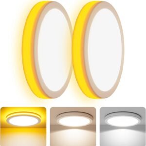 Coizabera LEDシーリングライト 6畳~8畳 2台セッ 間接光常夜灯付き 32W 3800lm 調光調色 極薄型 おしゃれ 天井照明器具 電気 蛍光灯 Ceiling Light 6畳 8畳 寝室/リビング/キッチン適用（No alexa）