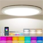 Coizabera LEDシーリングライト 10畳 5200lm 間接光RGBカラー & 調光調色 極薄型 天井照明器具 おしゃれ 電気 蛍光灯 雰囲気ライト リモコン付き 8畳 10畳 寝室/リビング/ダイニング/子供部屋/ゲームルーム/エンターテイメントエリア/店舗 適用