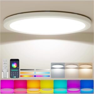 Coizabera LEDシーリングライト 10畳 5200lm 間接光RGBカラー & 調光調色 極薄型 天井照明器具 おしゃれ 電気 蛍光灯 雰囲気ライト リモコン付き 8畳 10畳 寝室/リビング/ダイニング/子供部屋/ゲームルーム/エンターテイメントエリア/店舗 適用
