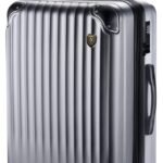 [New Trip] スーツケース キャリーケース 拡張機能付き 機内持ち込み 軽量 大型 S/M/Lサイズ キャリーバッグ 耐衝撃 大容量 ファスナータイプ 静音 ダブルキャスター TSAロック 海外 旅行 ビジネス 出張 (シルバー、Lサイズ：7泊～長期旅行/95L)