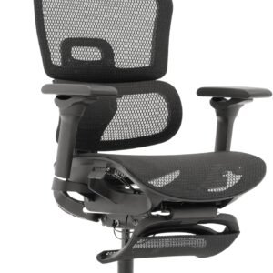 EastForce 寝れる多機能オフィスチェア ErgoSiesta(エルゴシエスタ) リクライニング145度 720度アームレスト 3Dヘッドレスト 背面高さ調節 座面スライド フットレスト デスクチェア ブラック