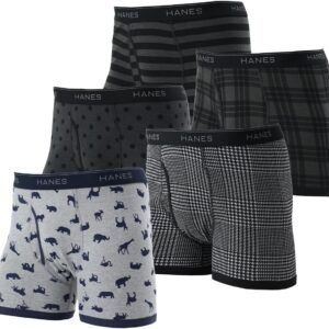 Hanes ボクサーパンツ(5枚組) 抗菌防臭 清潔 防臭効果 前開き 5PボクサーブリーフHM6ES703Jメンズ