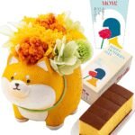 長崎心泉堂 母の日 花とお菓子 プリザーブド フラワー ギフト プレゼント まるっと 柴犬 イエロー 和菓子 母の日カステラ セット アニマル MDPE