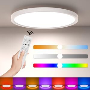 Coizabera LEDシーリングライト 6畳~8畳 24W 3600lm おしゃれ 調光調色&間接光RGBカラー 雰囲気ライト 薄型 天井照明器具 リモコン付き 電気 蛍光灯 Ceiling Light 6畳 8畳 寝室/子供部屋/ゲームルーム適用（No alexa）