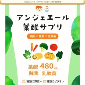 【葉酸480㎍×植物発酵エキス109種】アンジェエール 妊活・妊娠 国内製造 小粒で飲みやすい ビタミン12種 鉄 カルシウム 野菜21種 30日分